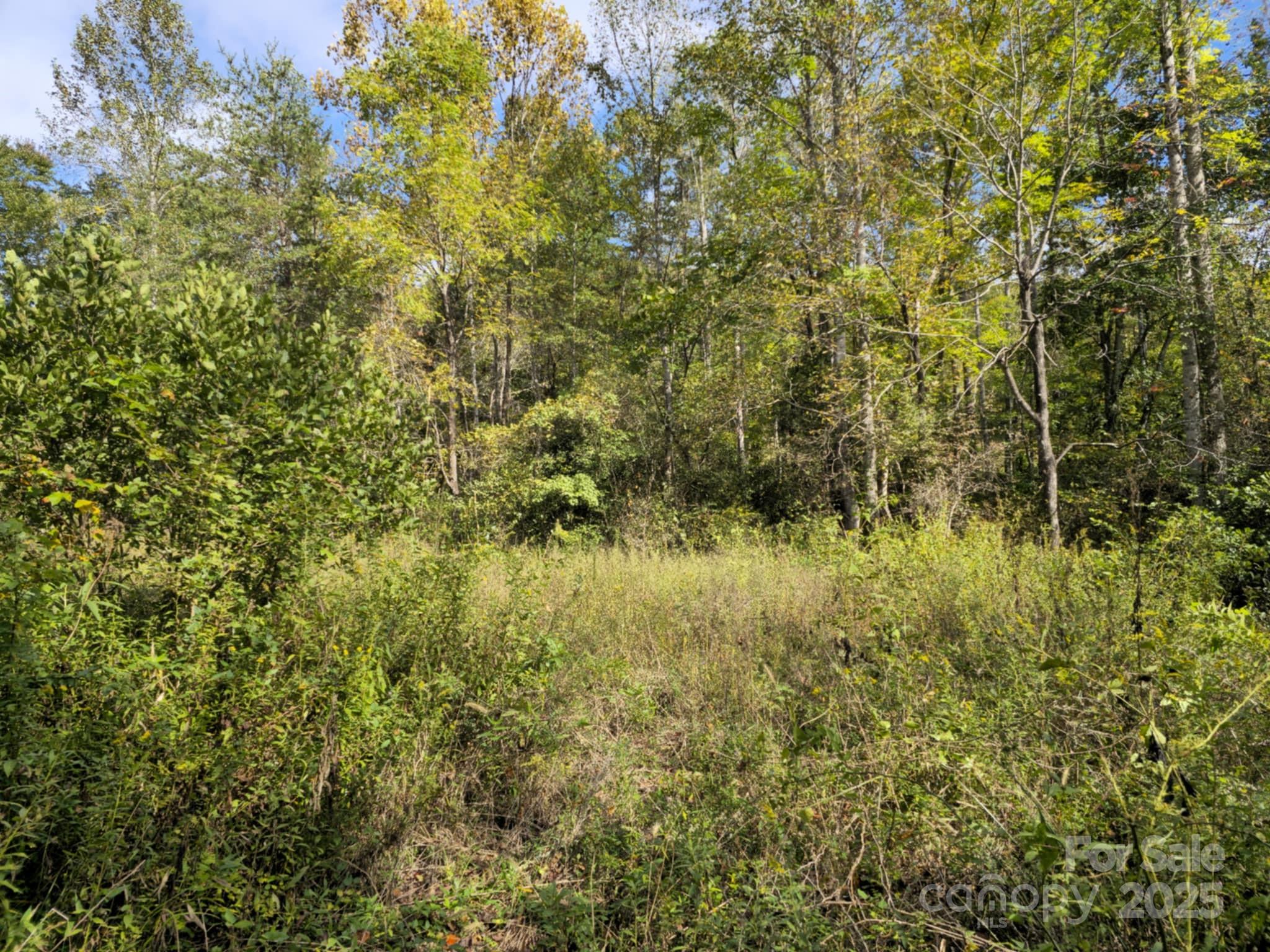 2921 Painters Gap Road Union Mills NC 28167