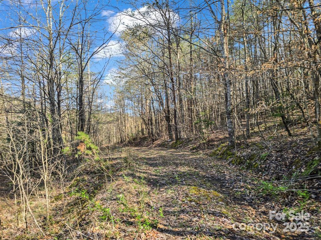 2921 Painters Gap Road Union Mills NC 28167