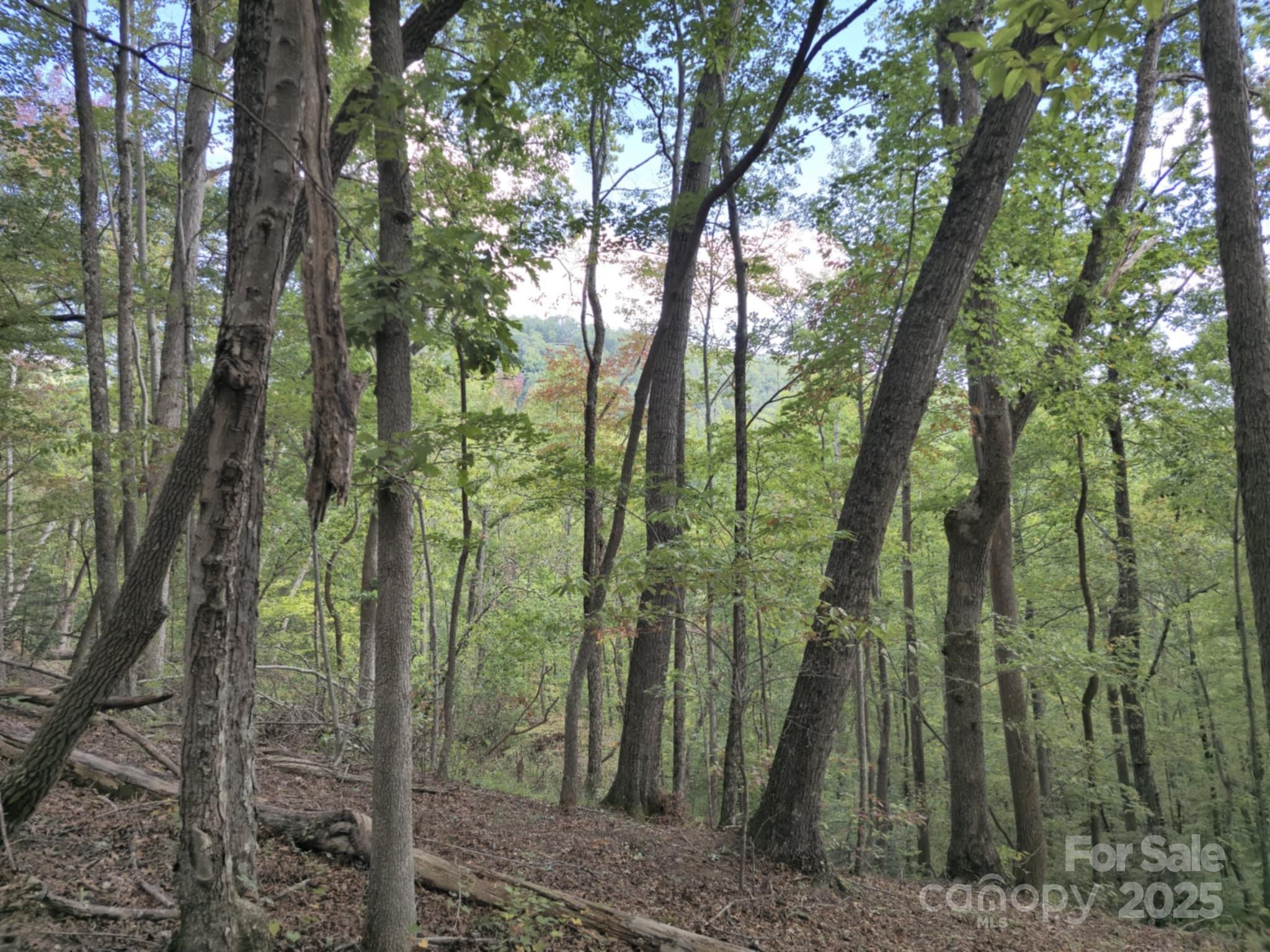 2921 Painters Gap Road Union Mills NC 28167