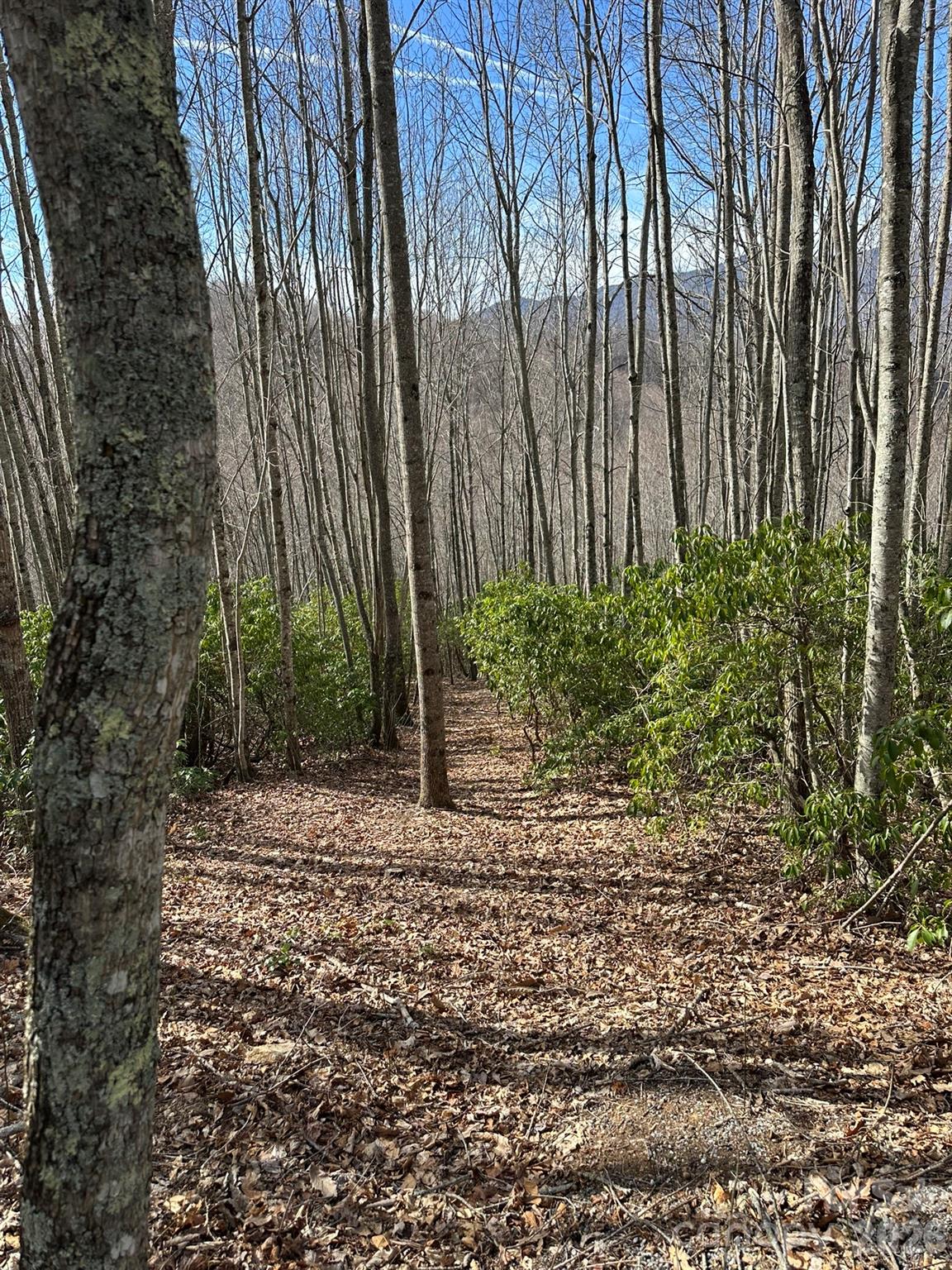 Lt 239 Down The Hill Road Sylva NC 28779