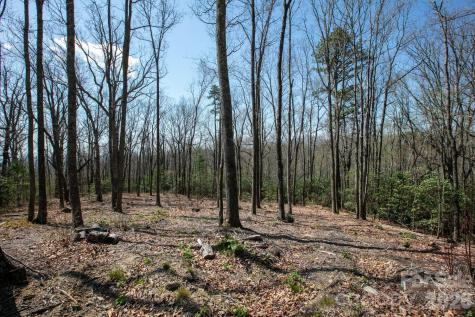 148 Spring Song Lane Fletcher NC 28732