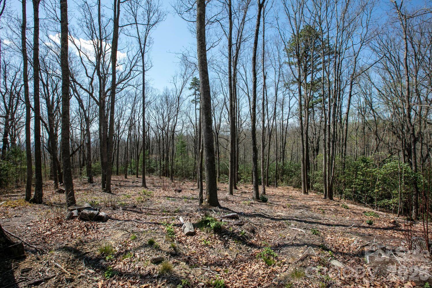 148 Spring Song Lane Fletcher NC 28732