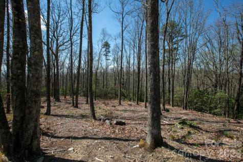 148 Spring Song Lane Fletcher NC 28732