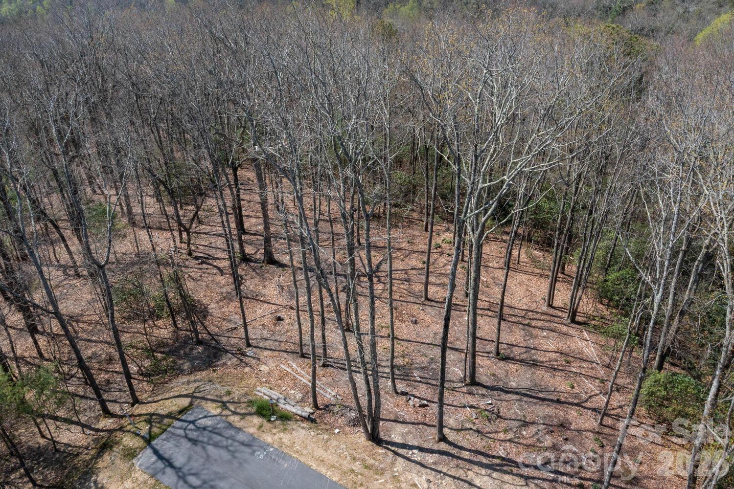 148 Spring Song Lane Fletcher NC 28732