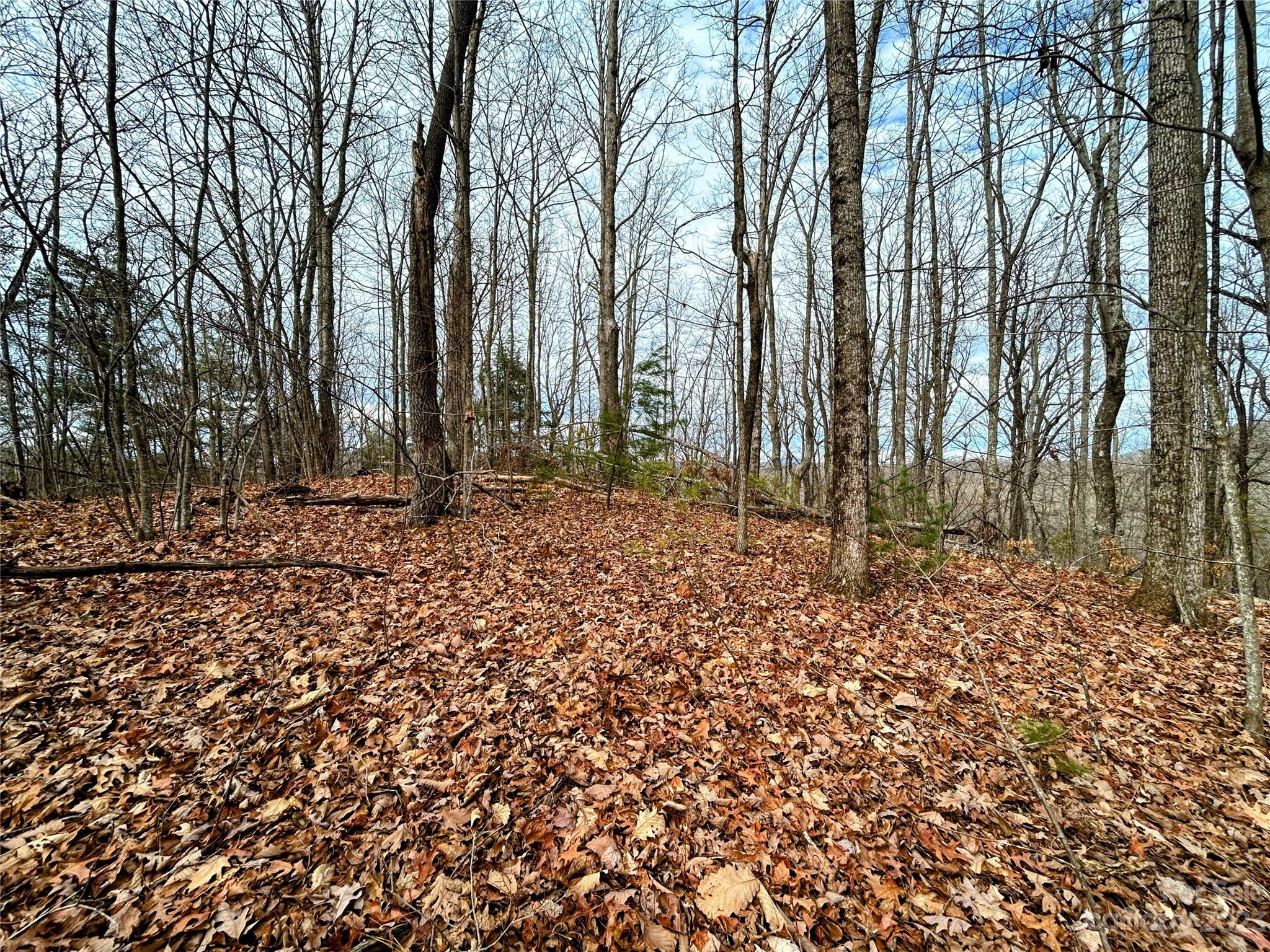 Lot 12 Rhododendron Drive Saluda NC 28773