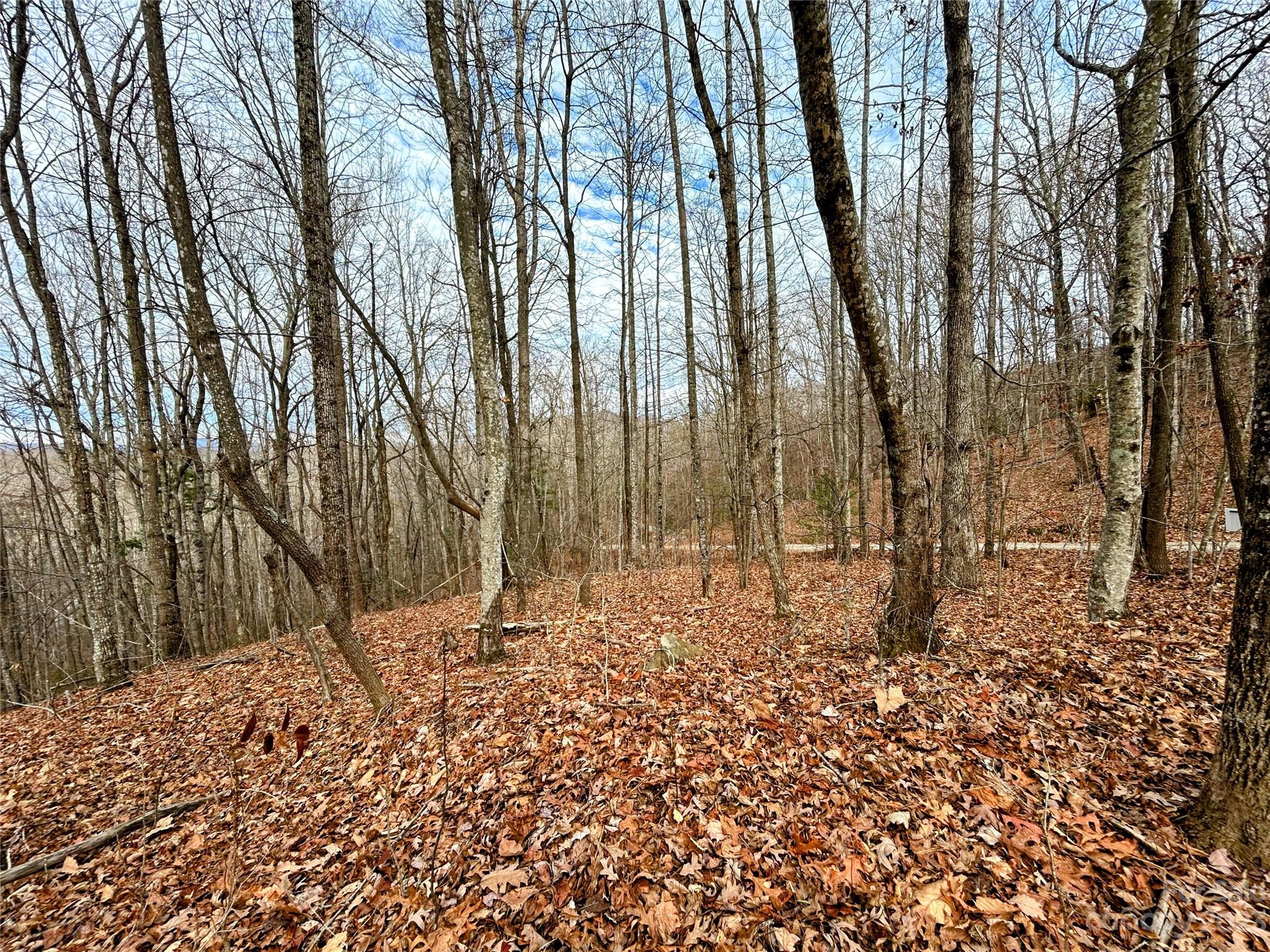 Lot 12 Rhododendron Drive Saluda NC 28773