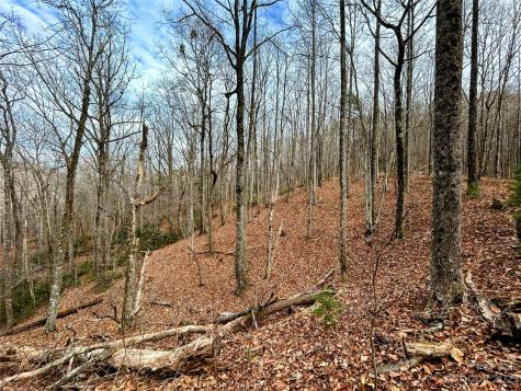 Lot 12 Rhododendron Drive Saluda NC 28773