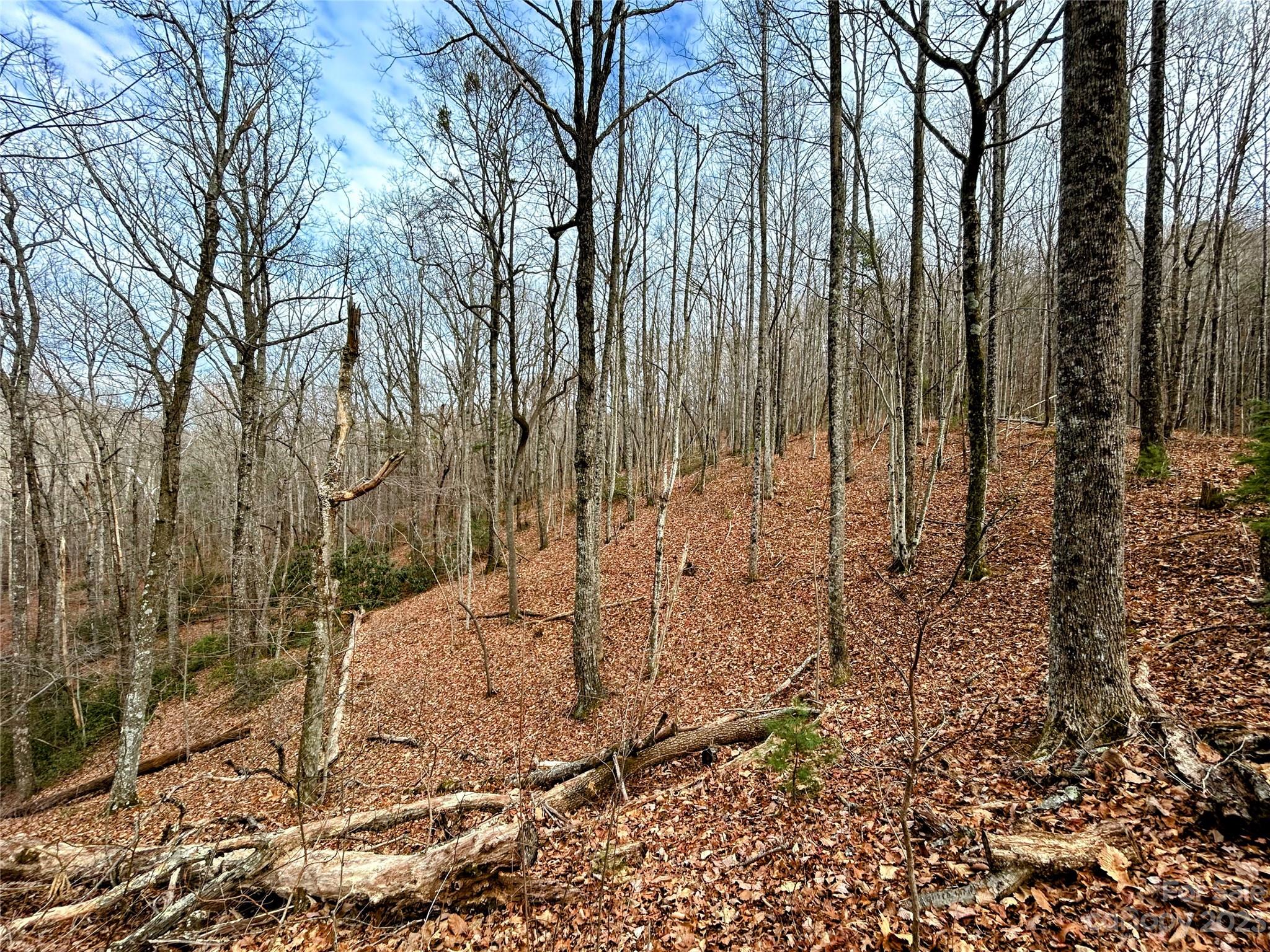 Lot 12 Rhododendron Drive Saluda NC 28773