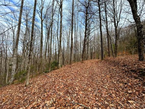 Lot 12 Rhododendron Drive Saluda NC 28773