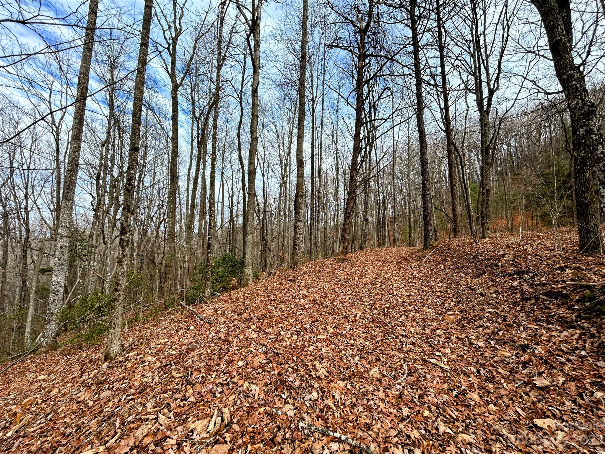 Lot 12 Rhododendron Drive Saluda NC 28773