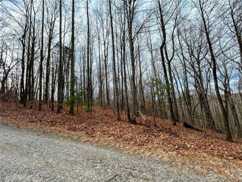 Lot 12 Rhododendron Drive Saluda NC 28773