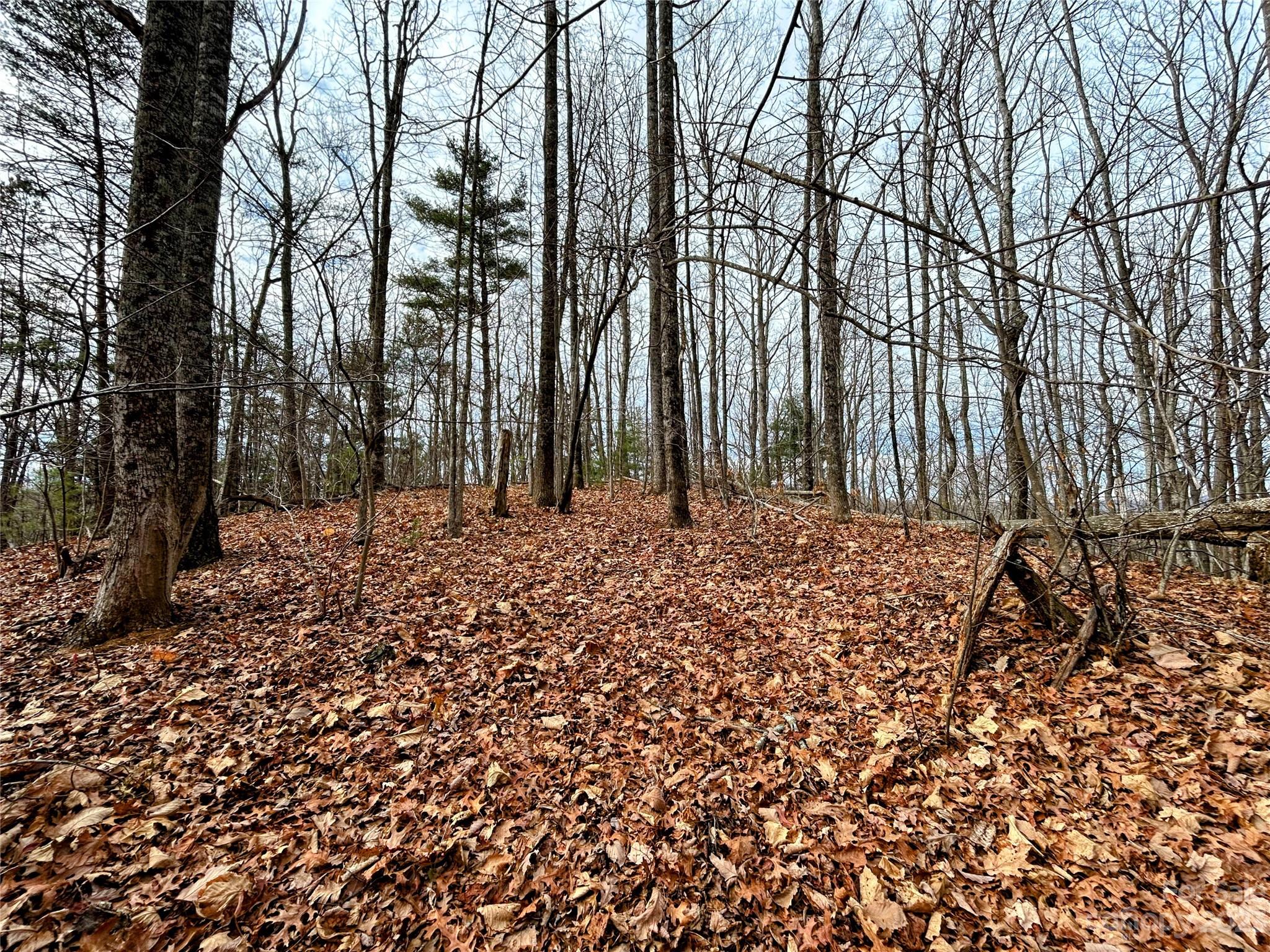 Lot 12 Rhododendron Drive Saluda NC 28773