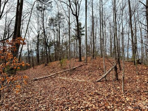 Lot 12 Rhododendron Drive Saluda NC 28773