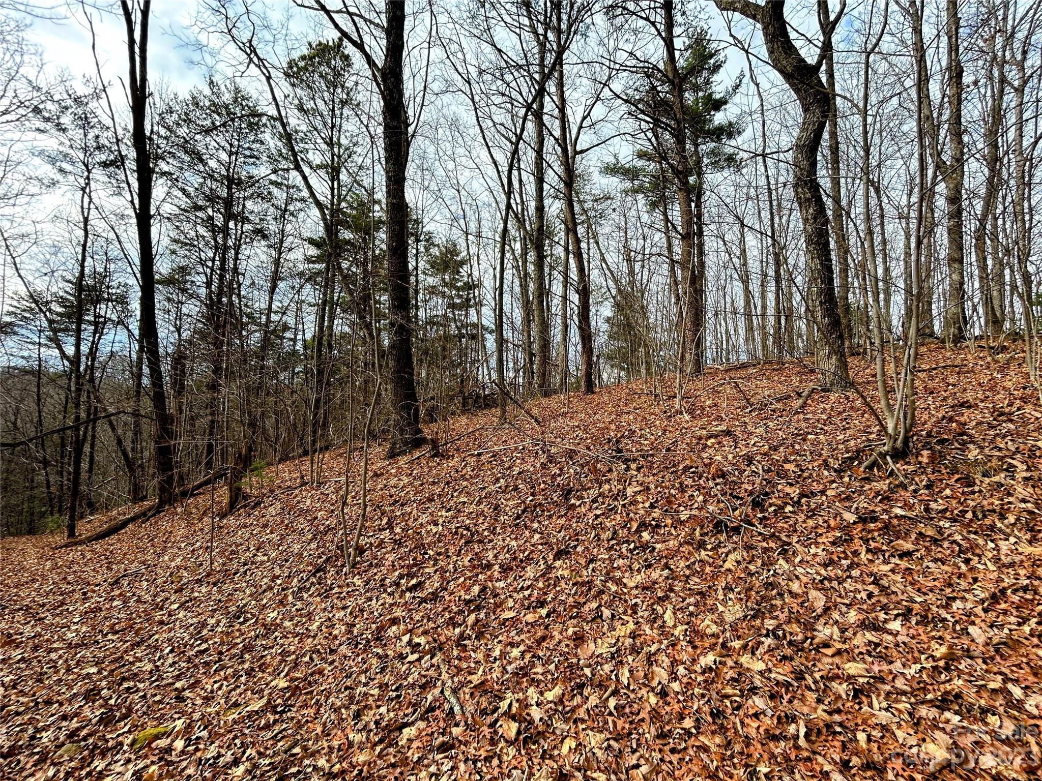 Lot 12 Rhododendron Drive Saluda NC 28773
