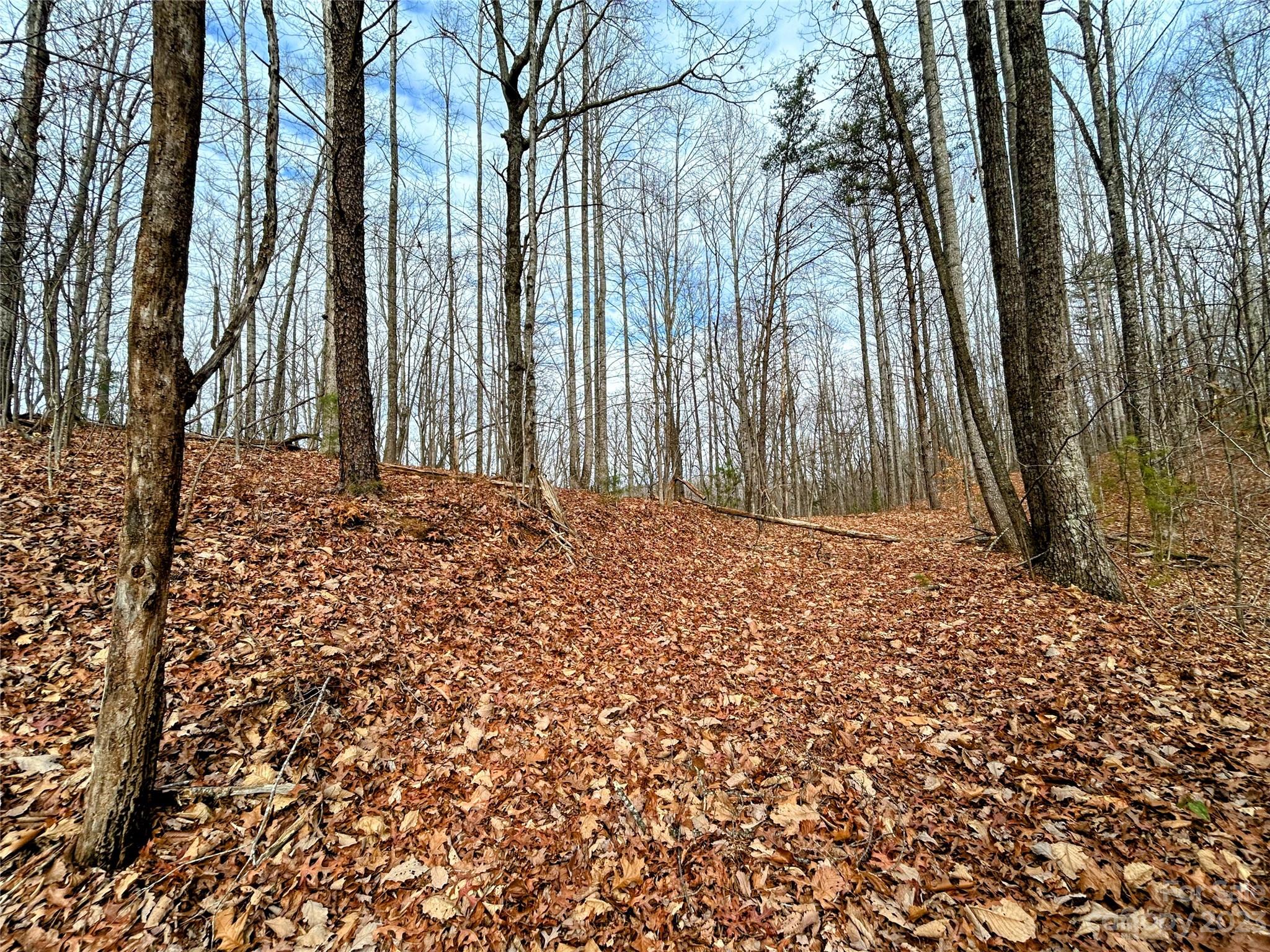 Lot 12 Rhododendron Drive Saluda NC 28773