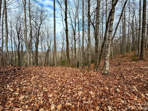 Lot 12 Rhododendron Drive Saluda NC 28773