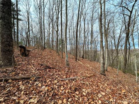 Lot 12 Rhododendron Drive Saluda NC 28773