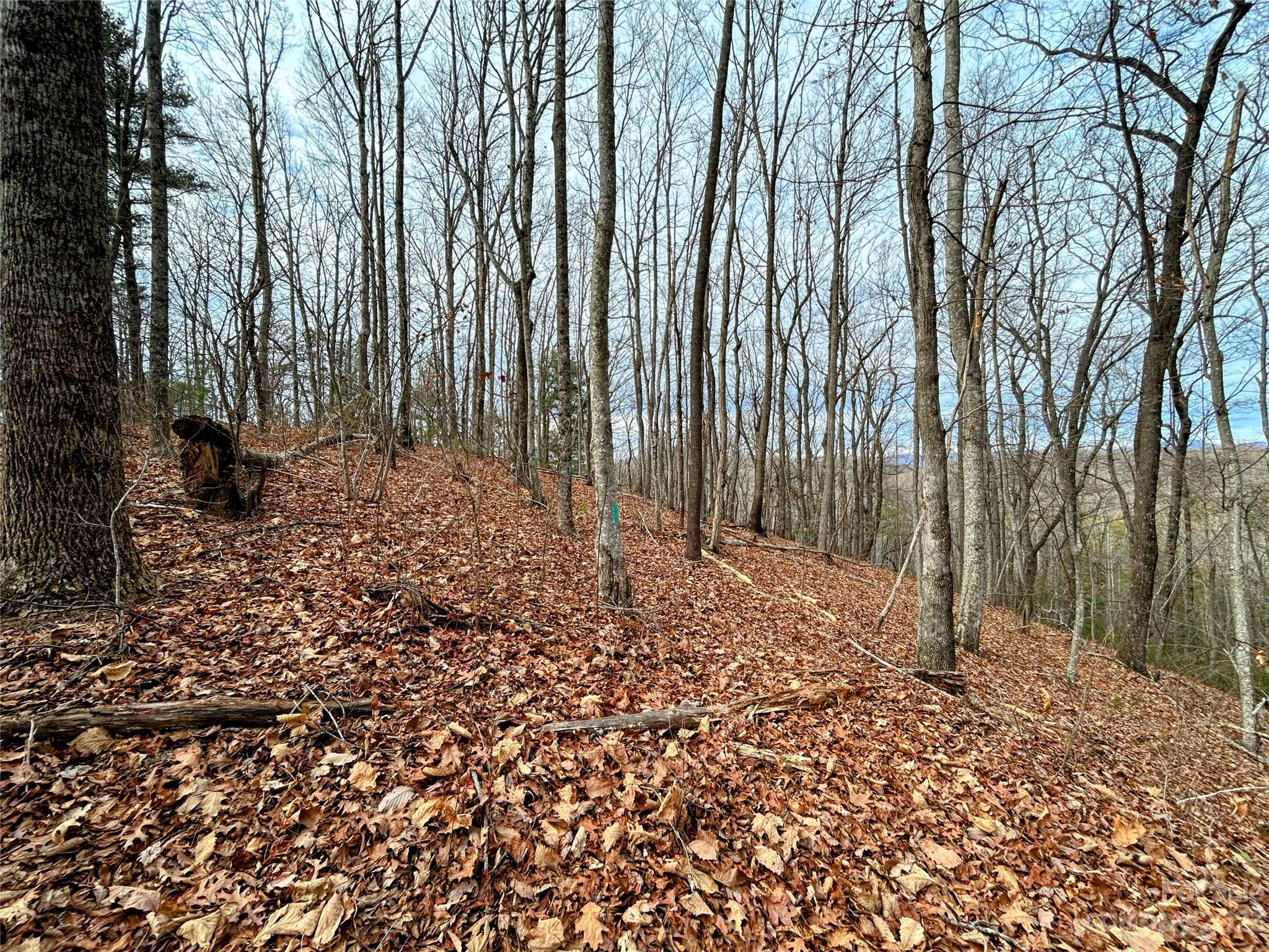 Lot 12 Rhododendron Drive Saluda NC 28773