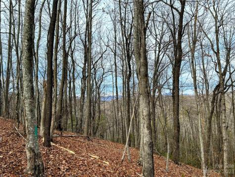 Lot 12 Rhododendron Drive Saluda NC 28773