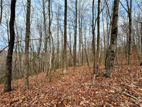 Lot 12 Rhododendron Drive Saluda NC 28773