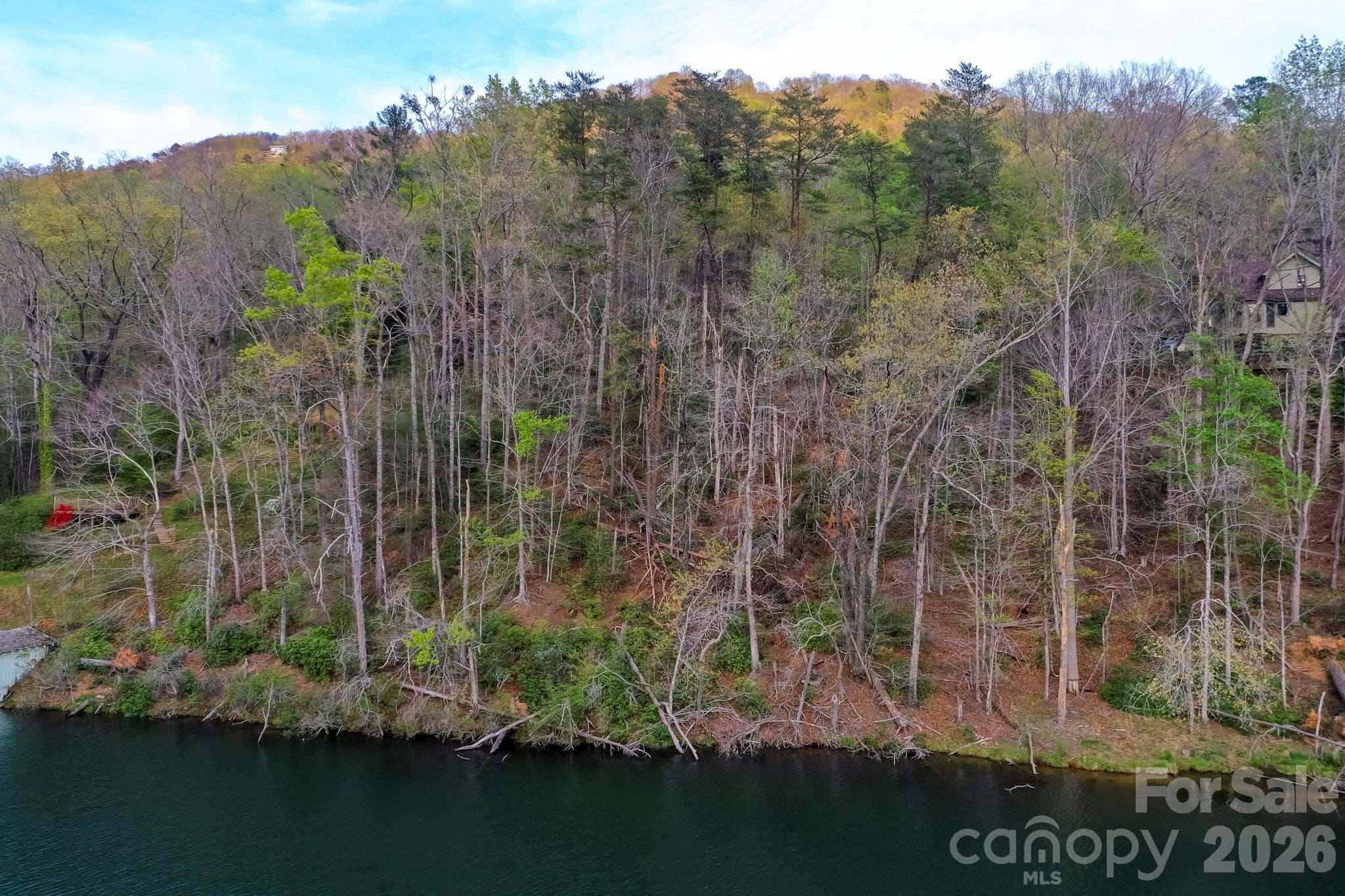 0000 Buffalo Creek Road Lake Lure NC 28746