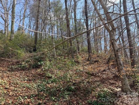 0000 Buffalo Creek Road Lake Lure NC 28746