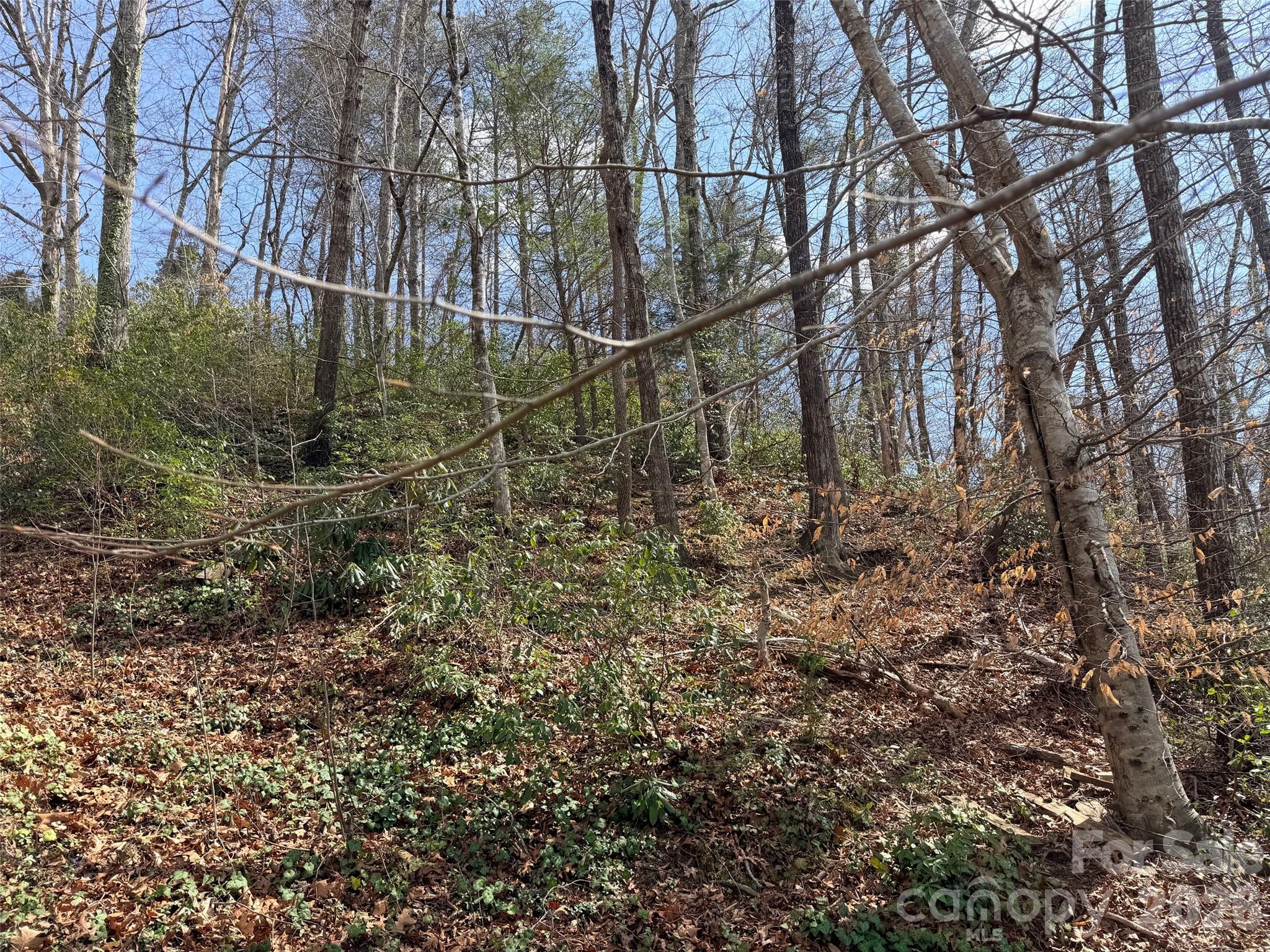 0000 Buffalo Creek Road Lake Lure NC 28746