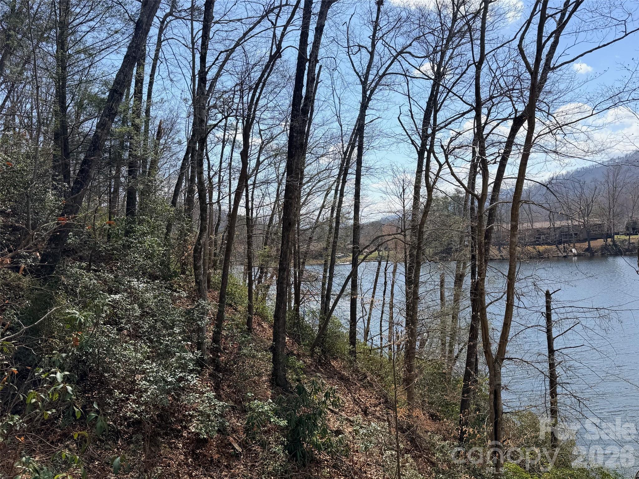 0000 Buffalo Creek Road Lake Lure NC 28746