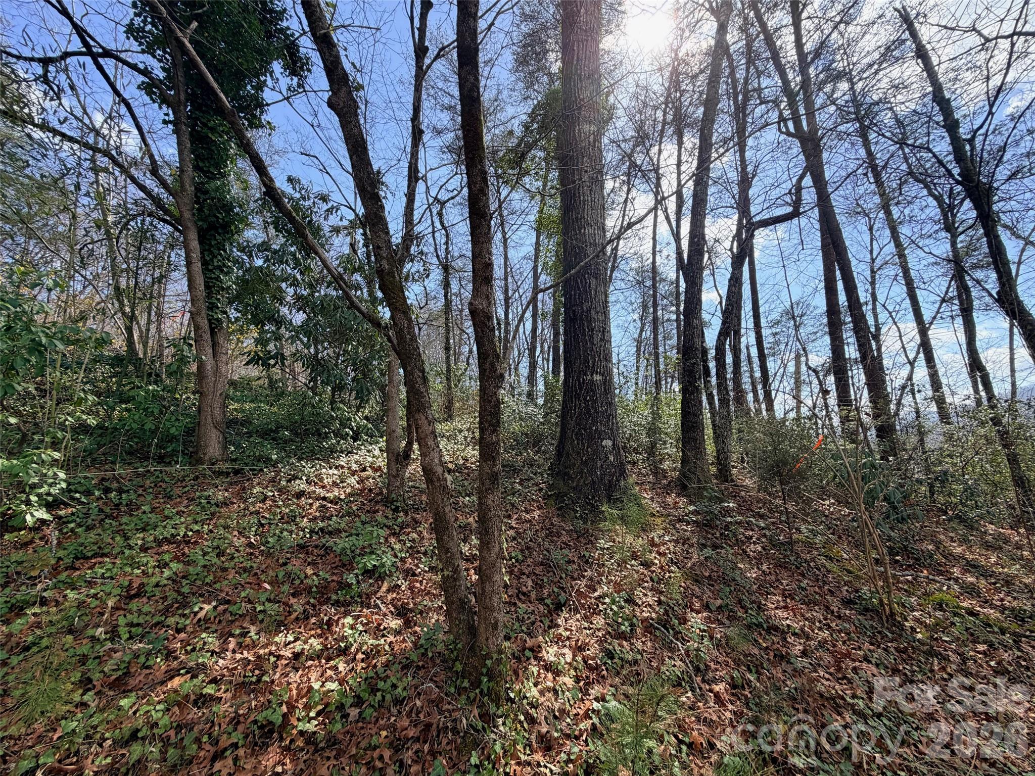 0000 Buffalo Creek Road Lake Lure NC 28746