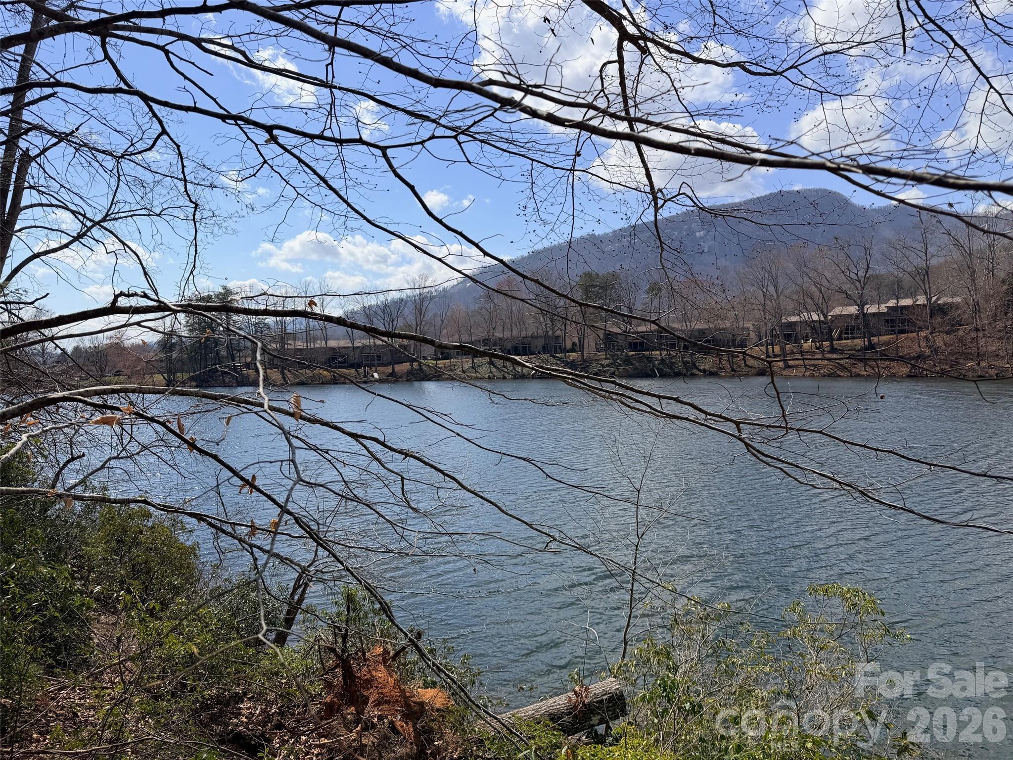 0000 Buffalo Creek Road Lake Lure NC 28746