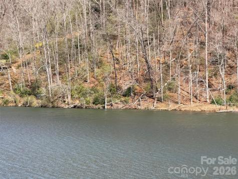 0000 Buffalo Creek Road Lake Lure NC 28746