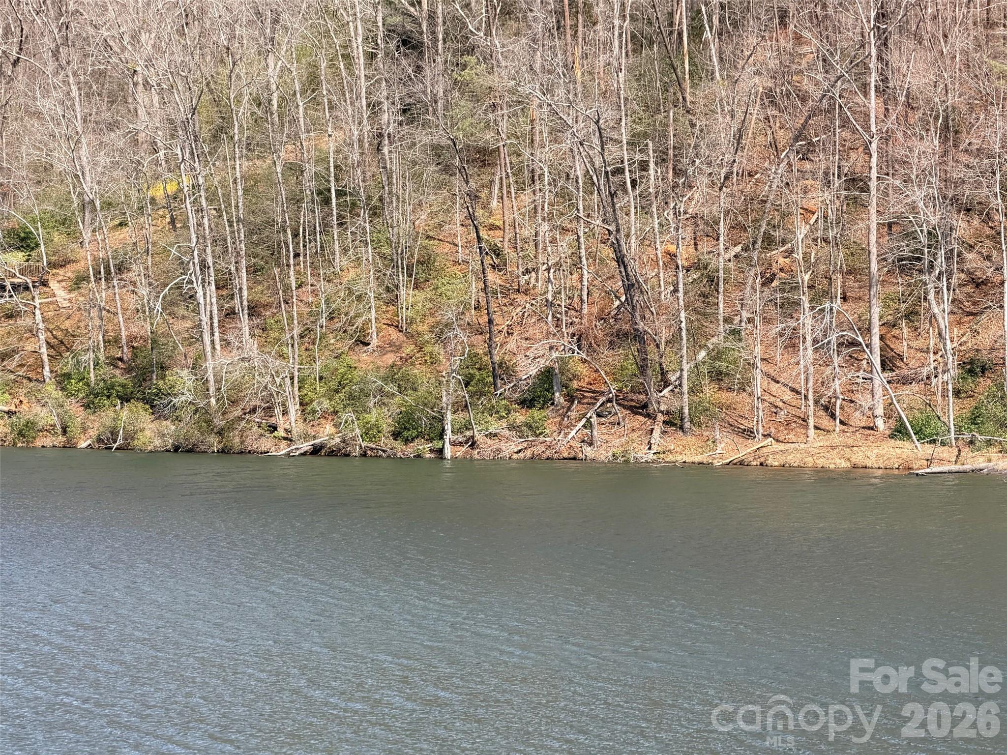 0000 Buffalo Creek Road Lake Lure NC 28746