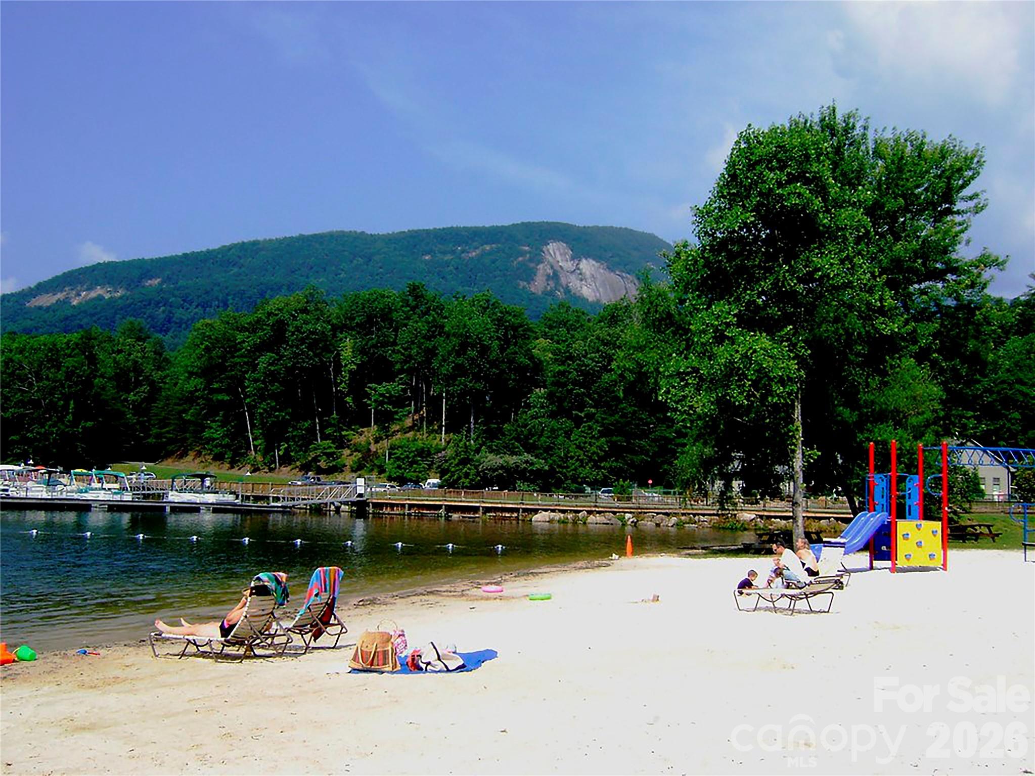 0000 Buffalo Creek Road Lake Lure NC 28746