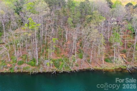 0000 Buffalo Creek Road Lake Lure NC 28746