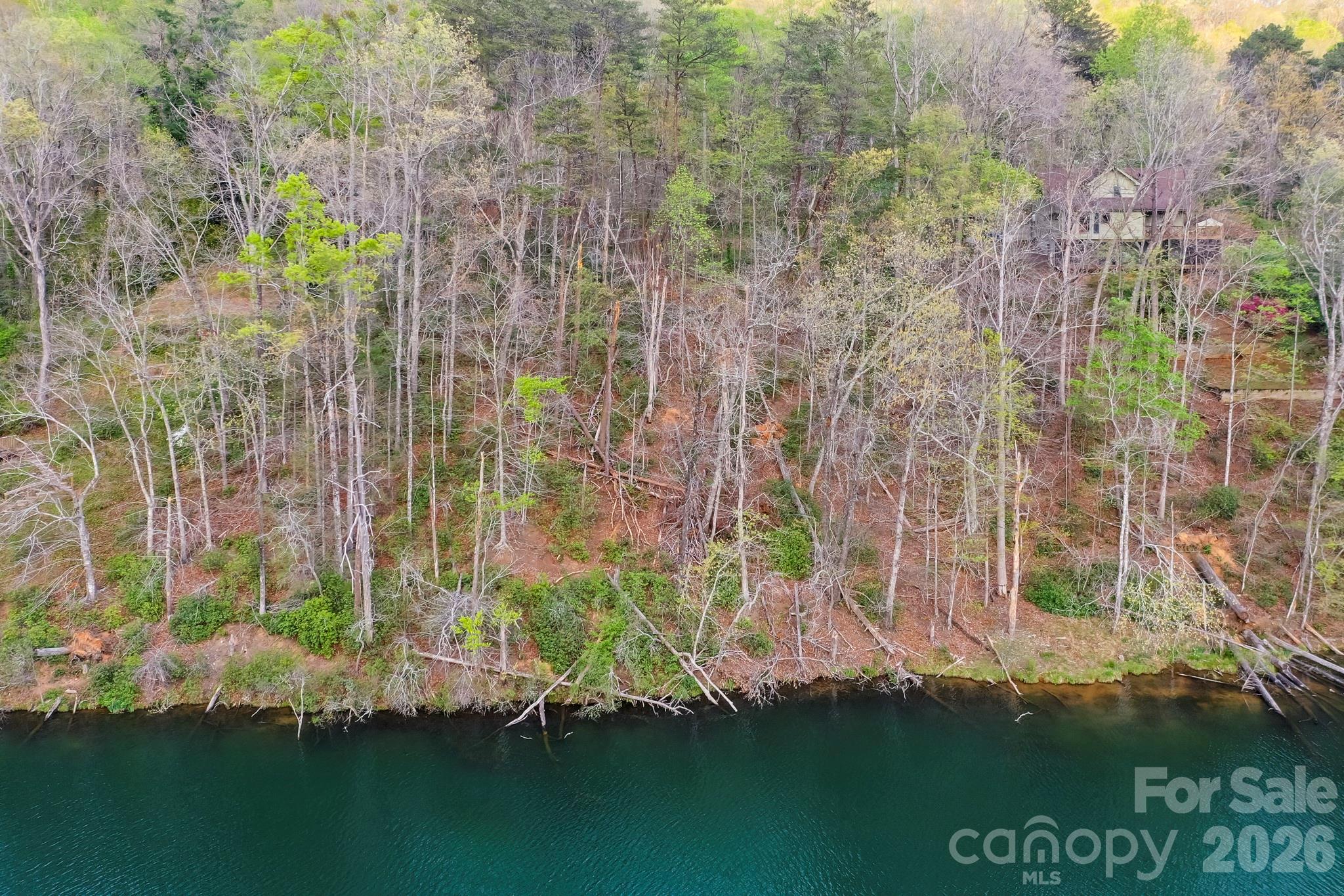 0000 Buffalo Creek Road Lake Lure NC 28746
