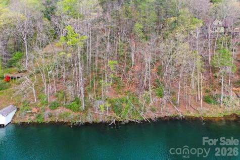 0000 Buffalo Creek Road Lake Lure NC 28746