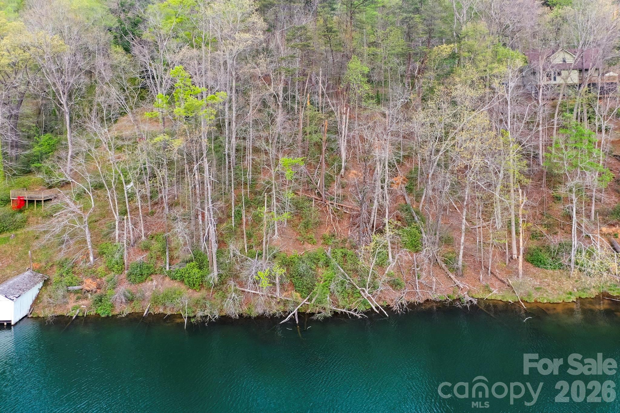 0000 Buffalo Creek Road Lake Lure NC 28746
