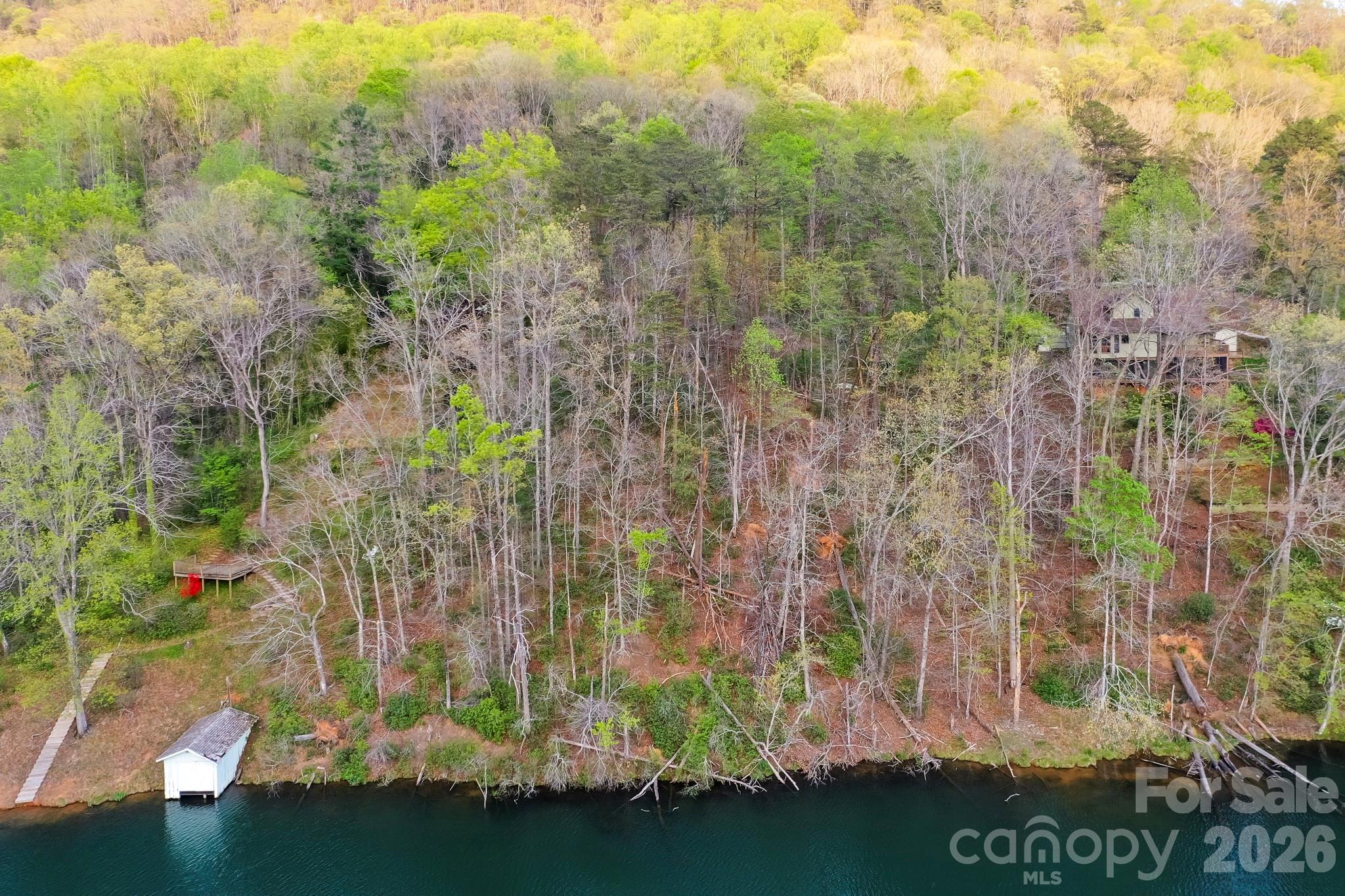 0000 Buffalo Creek Road Lake Lure NC 28746