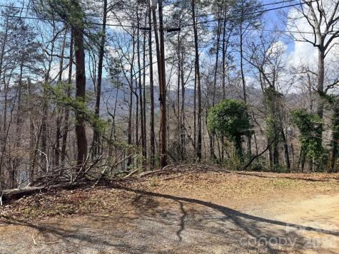 0000 Buffalo Creek Road Lake Lure NC 28746