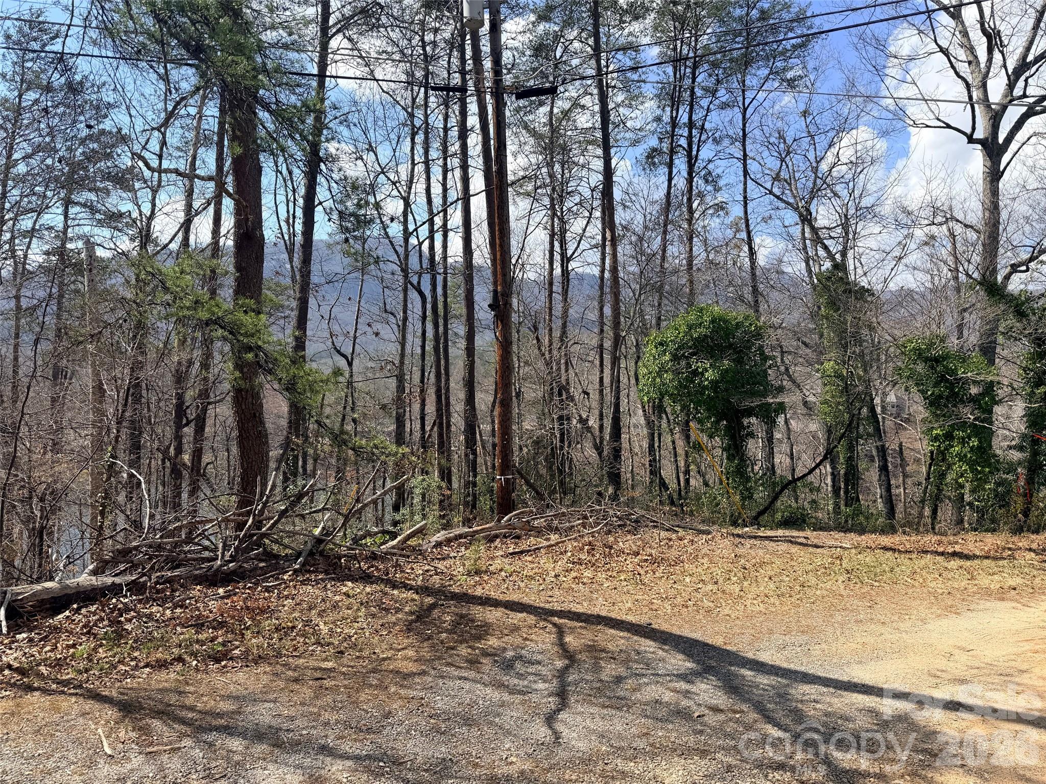 0000 Buffalo Creek Road Lake Lure NC 28746