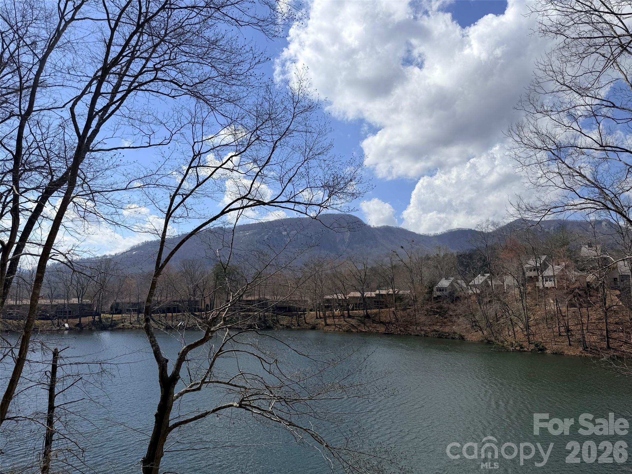 0000 Buffalo Creek Road Lake Lure NC 28746