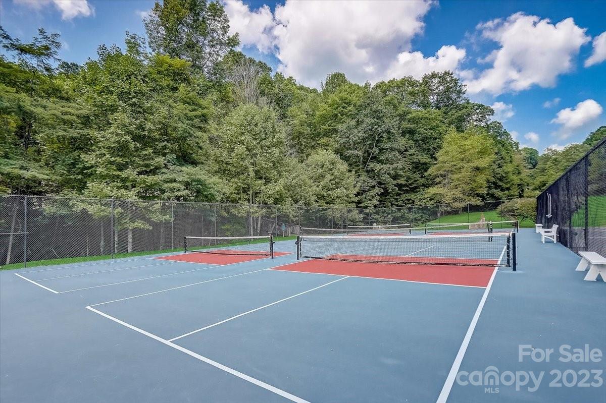 16 Chestnut Village Lane Mars Hill NC 28754