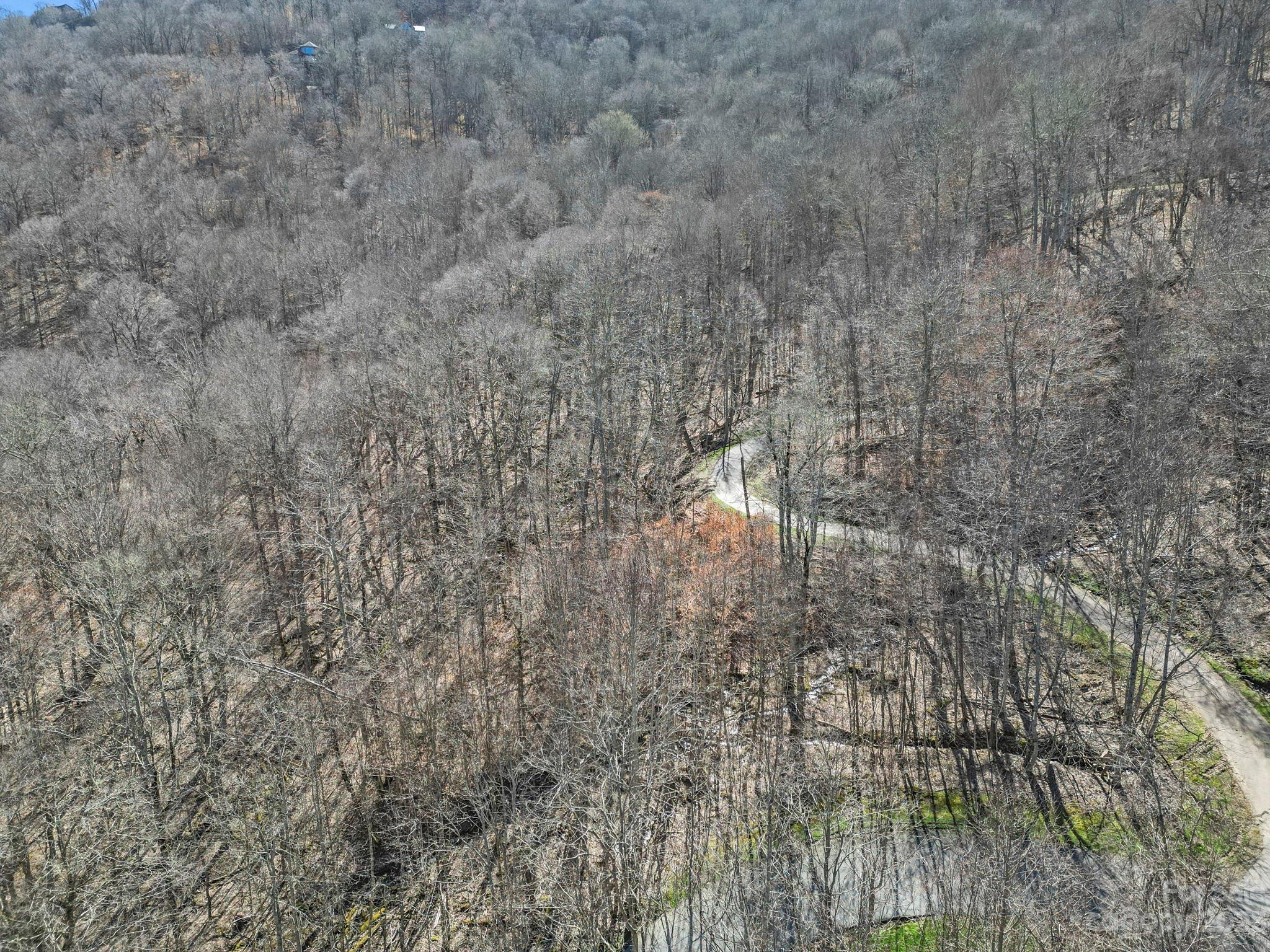 16 Chestnut Village Lane Mars Hill NC 28754