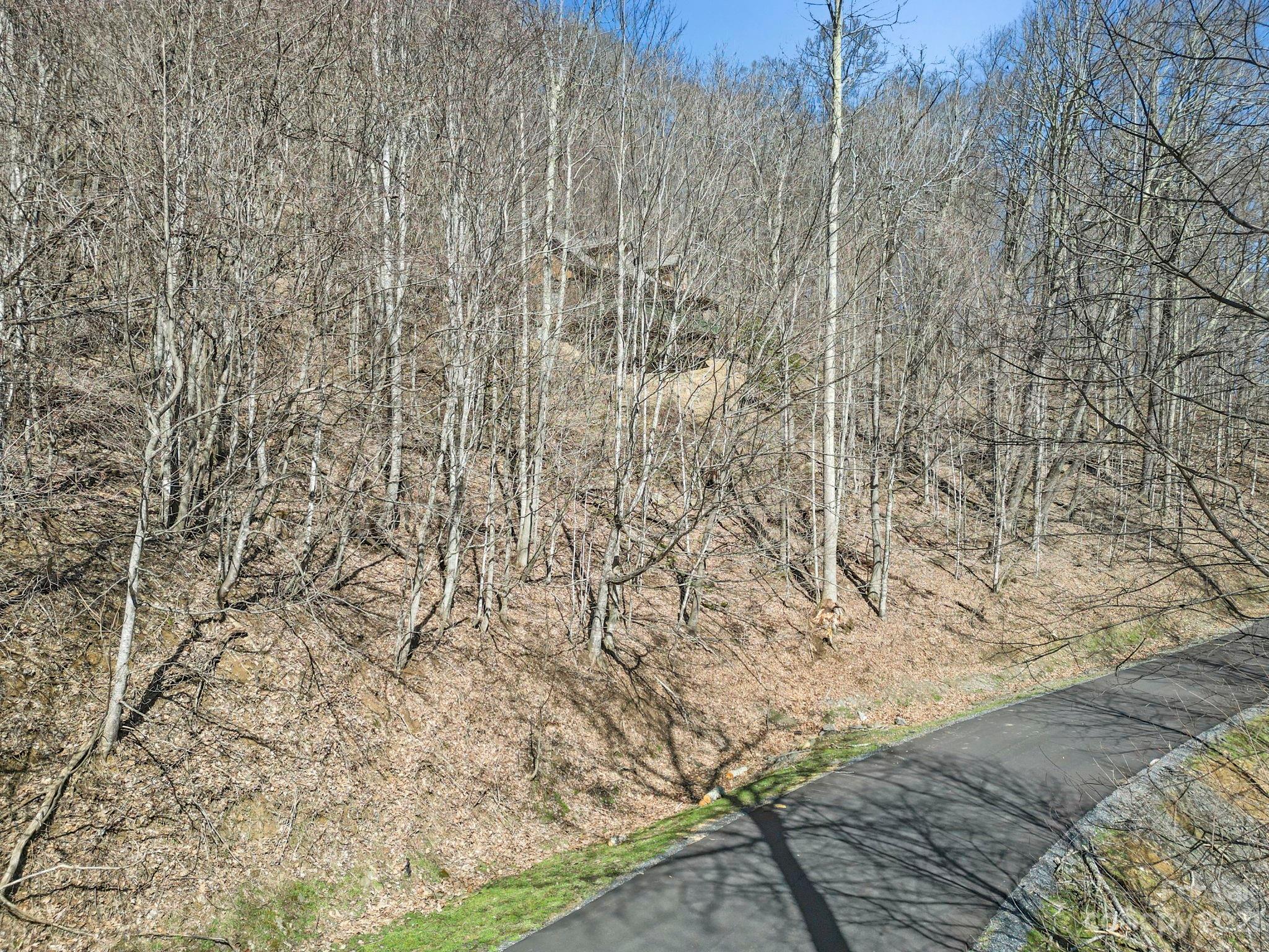16 Chestnut Village Lane Mars Hill NC 28754