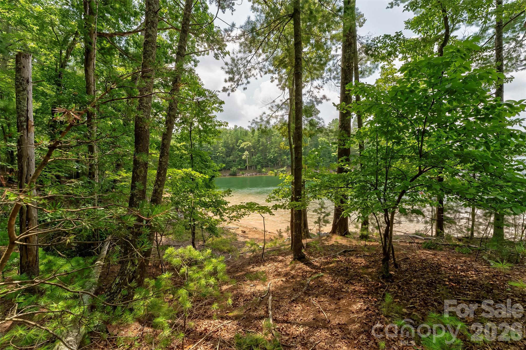 159 Deer Berry Drive Nebo NC 28761
