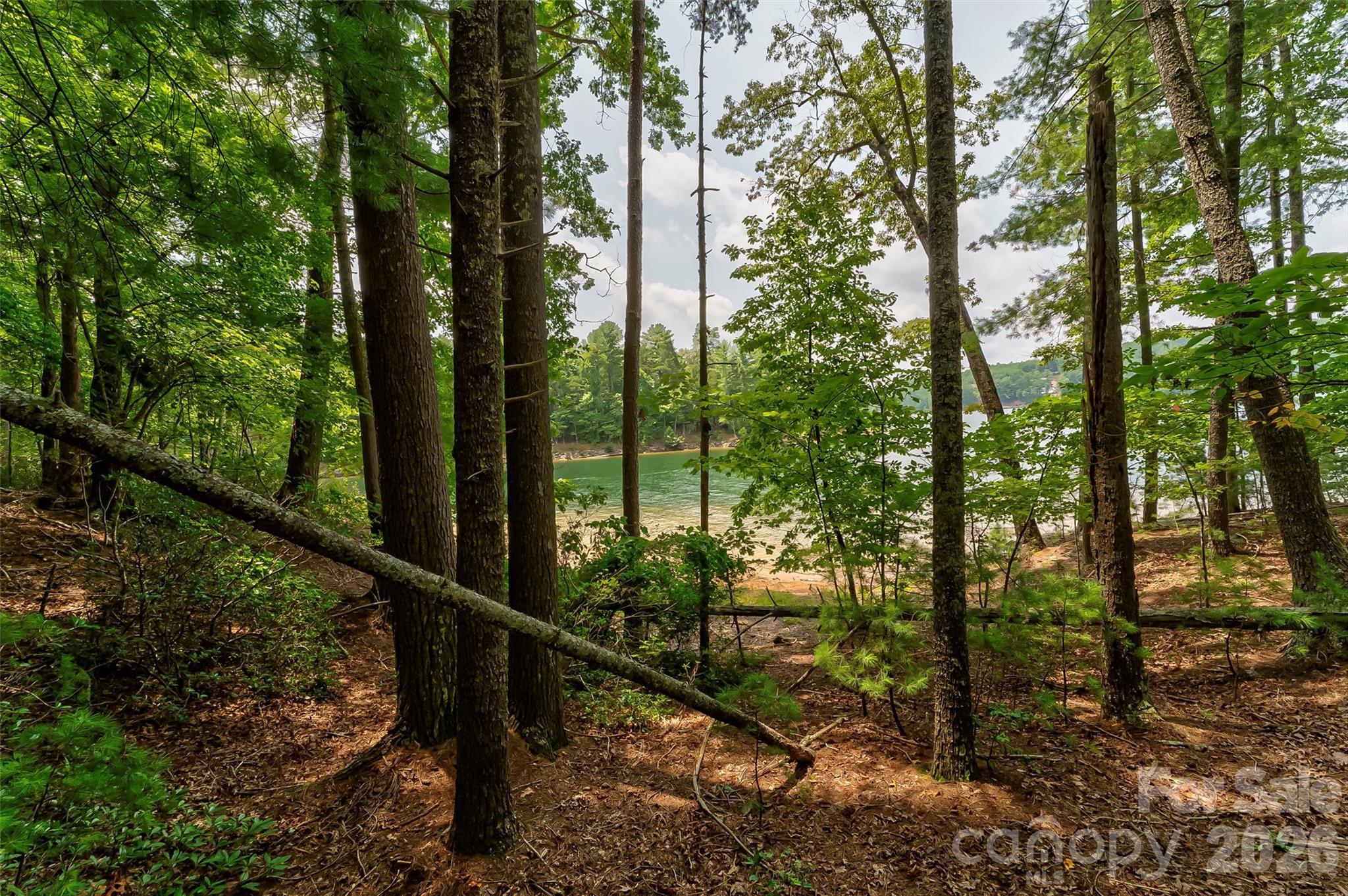 159 Deer Berry Drive Nebo NC 28761