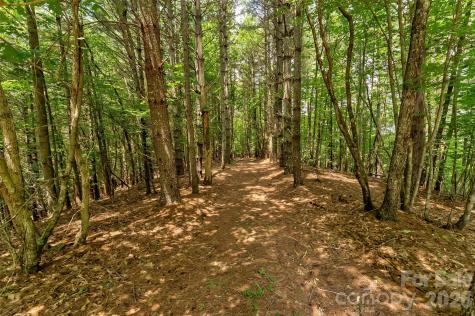 159 Deer Berry Drive Nebo NC 28761
