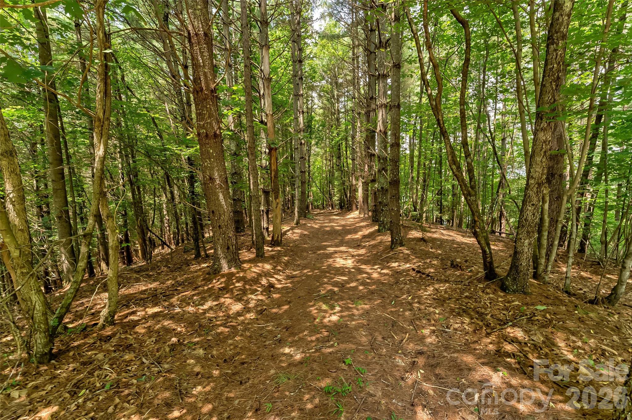 159 Deer Berry Drive Nebo NC 28761