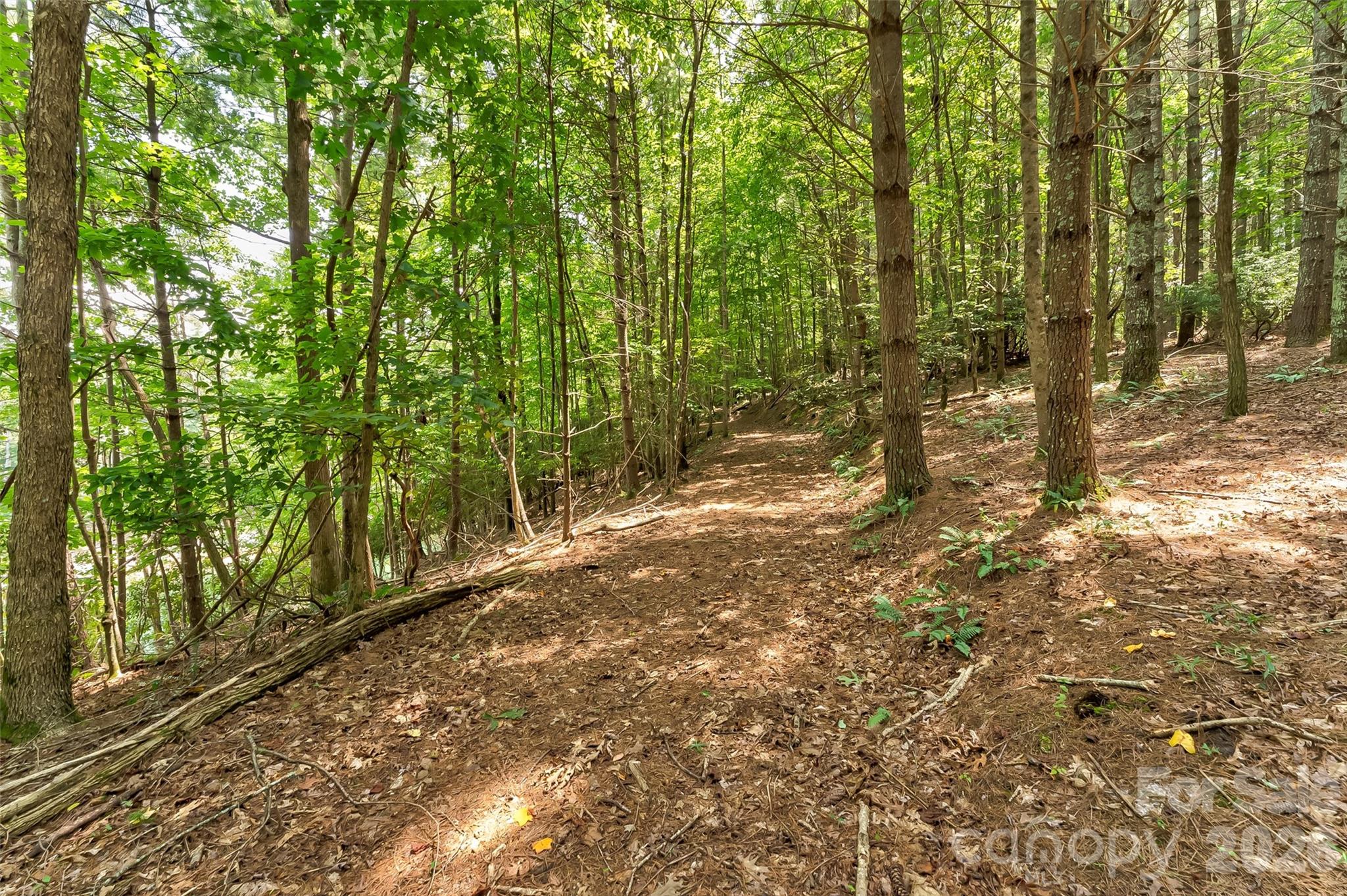 159 Deer Berry Drive Nebo NC 28761