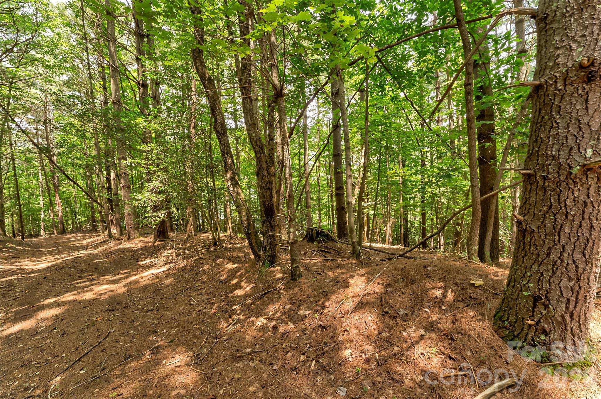 159 Deer Berry Drive Nebo NC 28761